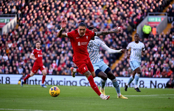 在这一领域 在这一领域